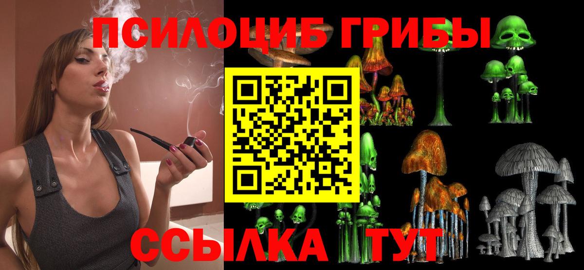 Галлюциногенные грибы мицелий  Галлюциногенные грибы Psilocybe  Вход с VPN  наркота  Канаш 